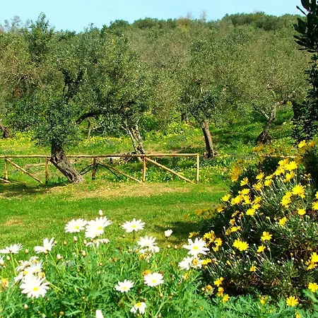Agriturismo i Moresani-3